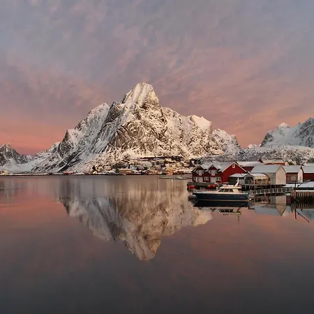 Husly - Your With Reinebringen View Reine